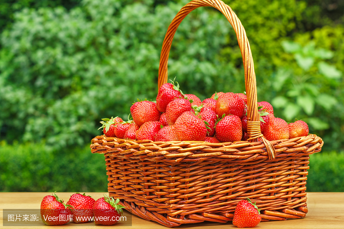 新鲜的草莓放在篮子里,放在花园里的木桌上