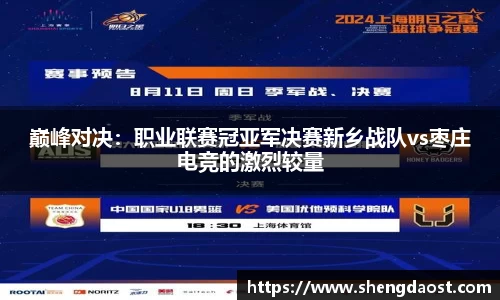 巅峰对决：职业联赛冠亚军决赛新乡战队vs枣庄电竞的激烈较量
