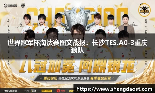世界冠军杯淘汰赛图文战报：长沙TES.A0-3重庆狼队